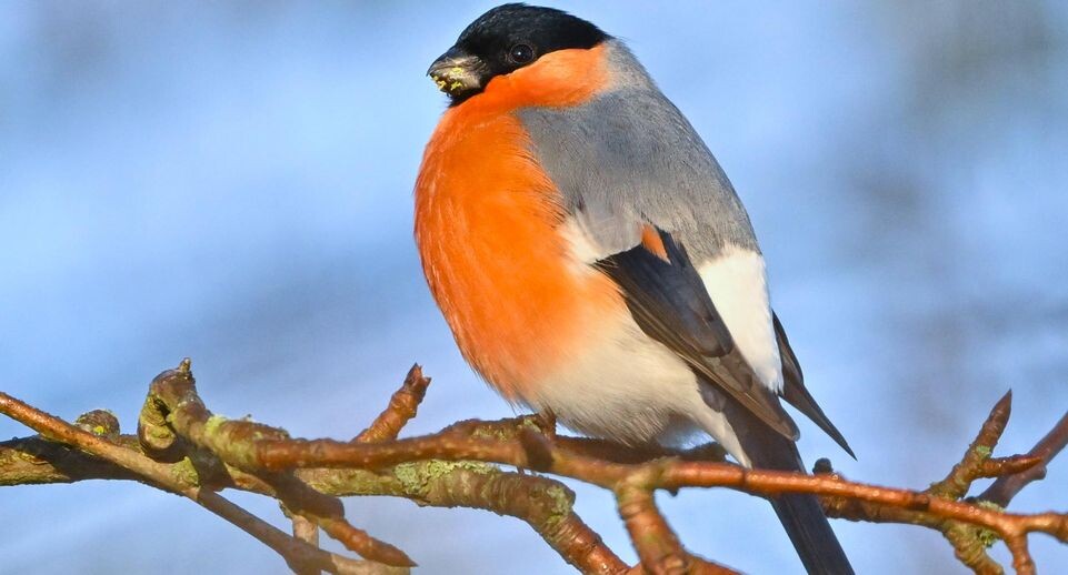    Patrick Pleul/dpa / www.globallookpress.com