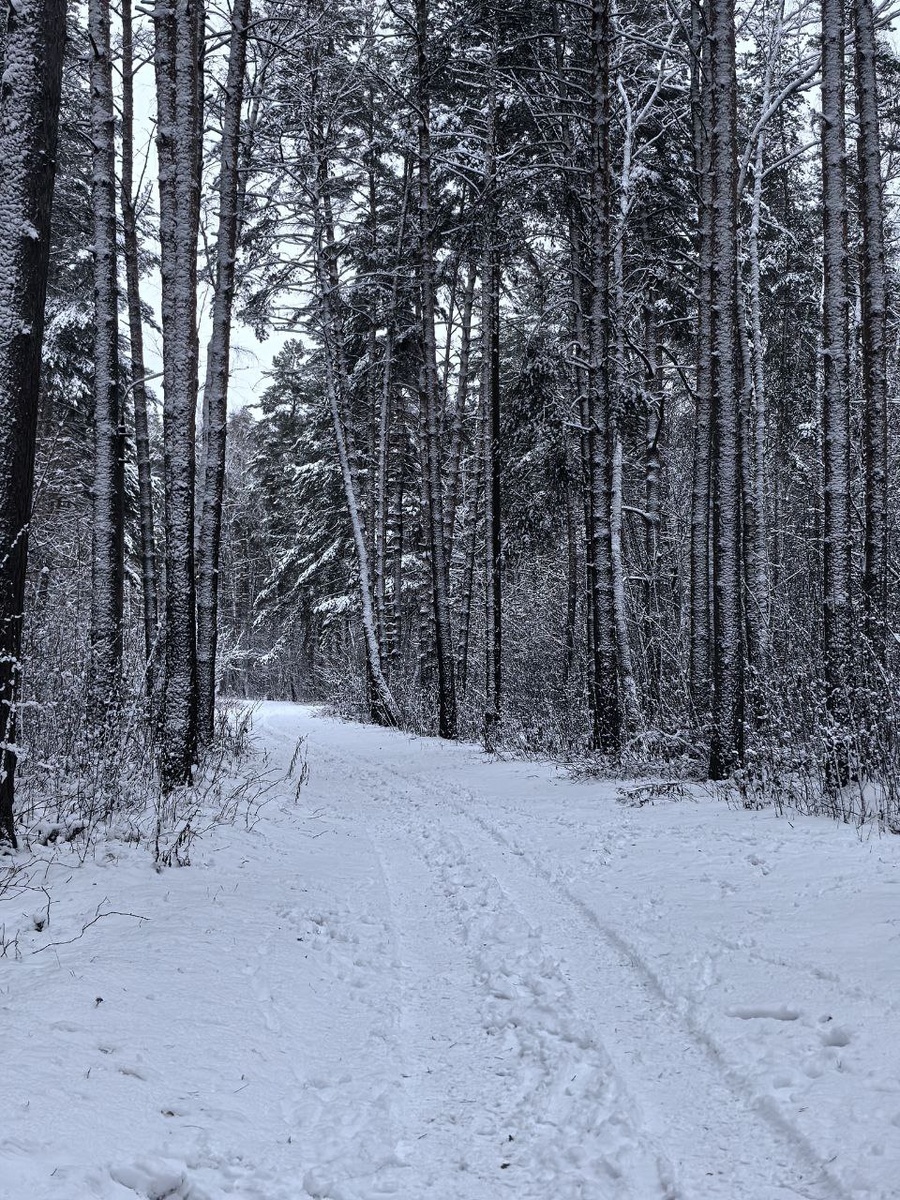 Авторское фото