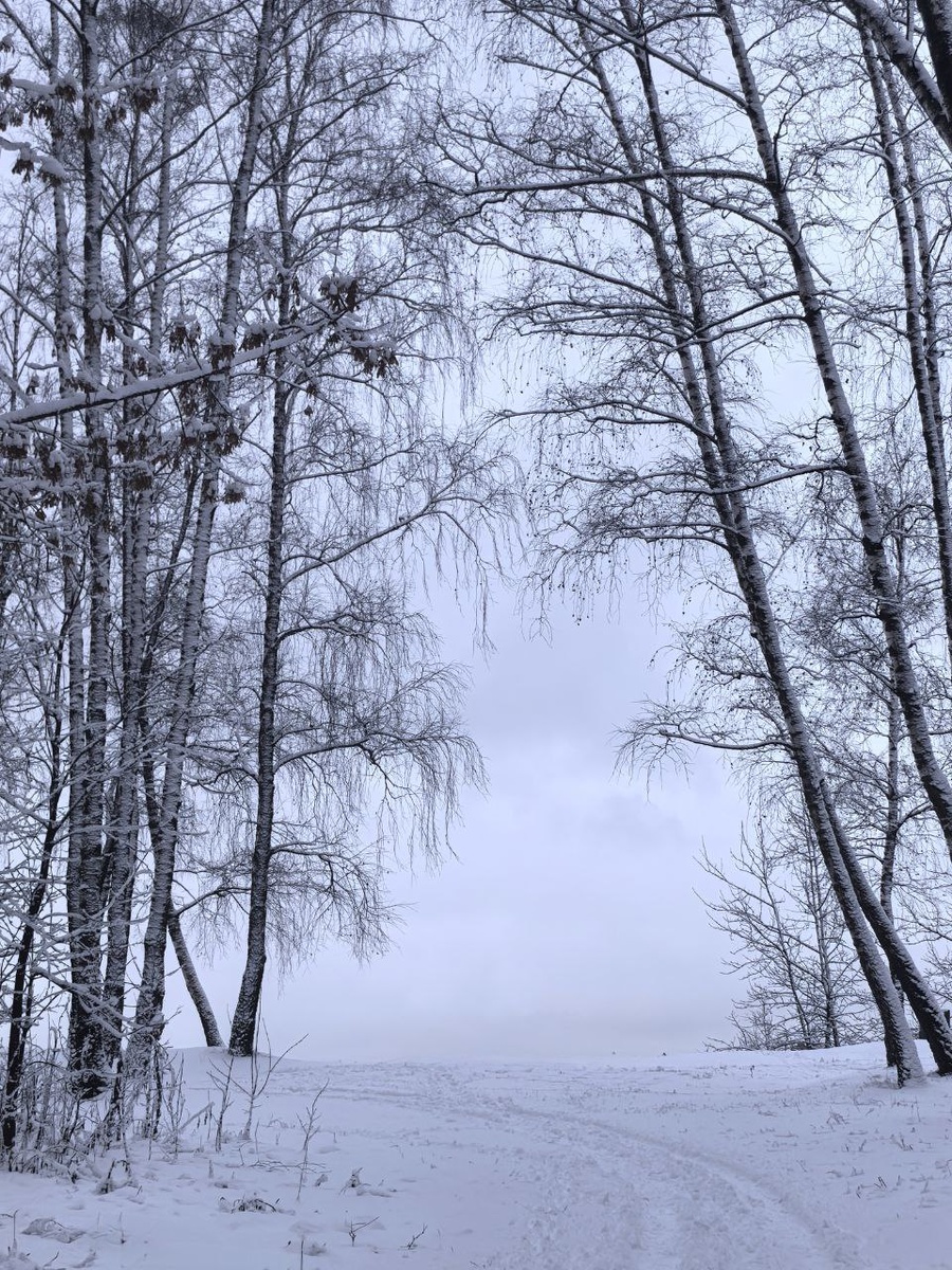Авторское фото