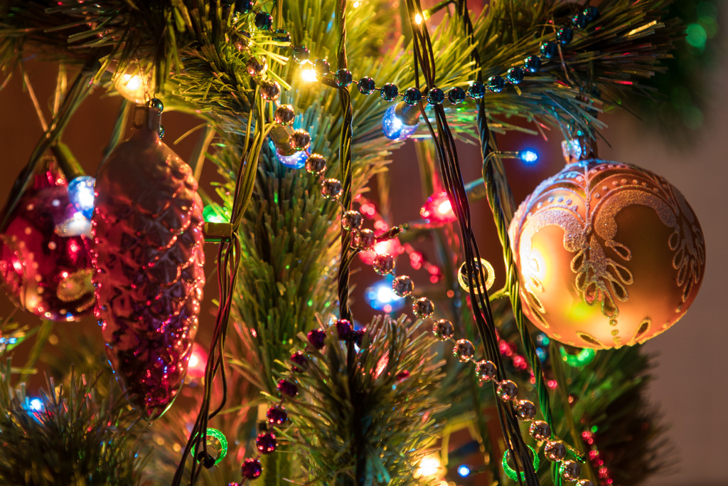   Фото: по лицензии PxHere