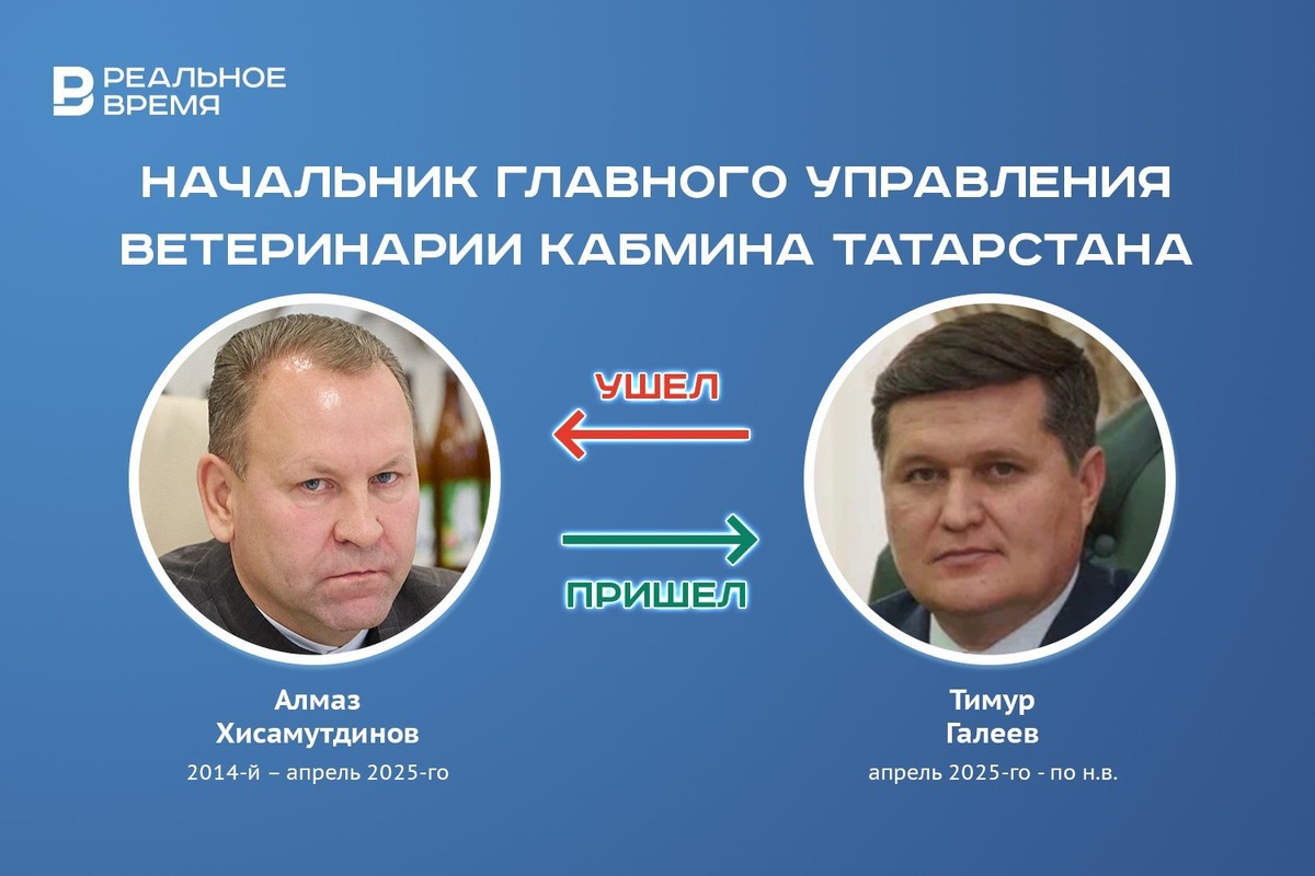   Реальное время / realnoevremya.ru