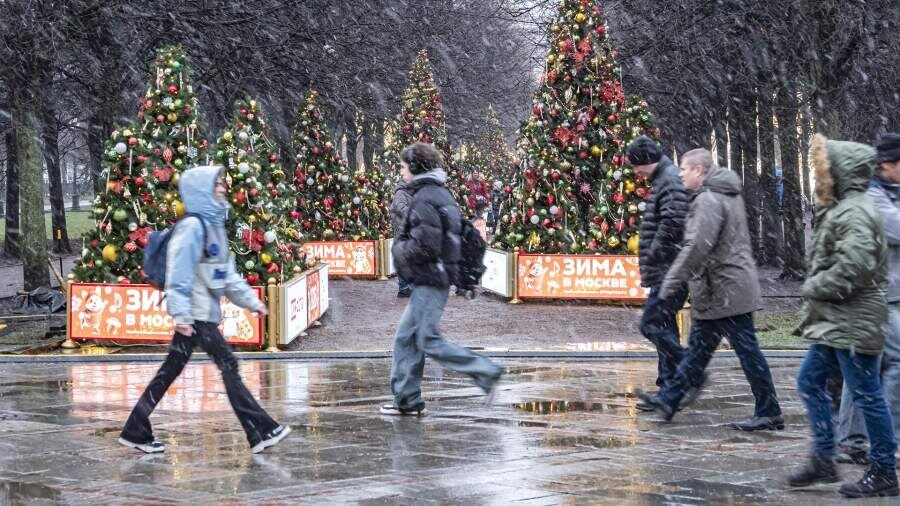    Фото: ИЗВЕСТИЯ/Константин Кокошкин