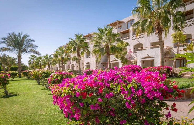 туры в Египет в январе 2026