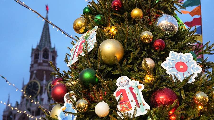    Фото: ИЗВЕСТИЯ/Дмитрий Коротаев