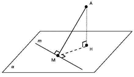 AM – наклонная (прямая, пересекающая плоскость (α) под углом, не равным 90°), 
МН - проекция наклонной на плоскость α, 
АН - перпендикуляр к плоскости α, 
m – прямая, лежащая в плоскости α
