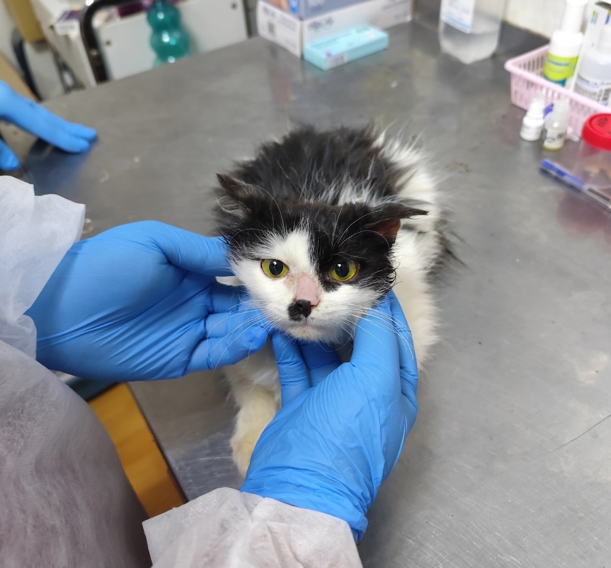 Дьячок был найден в монастыре.