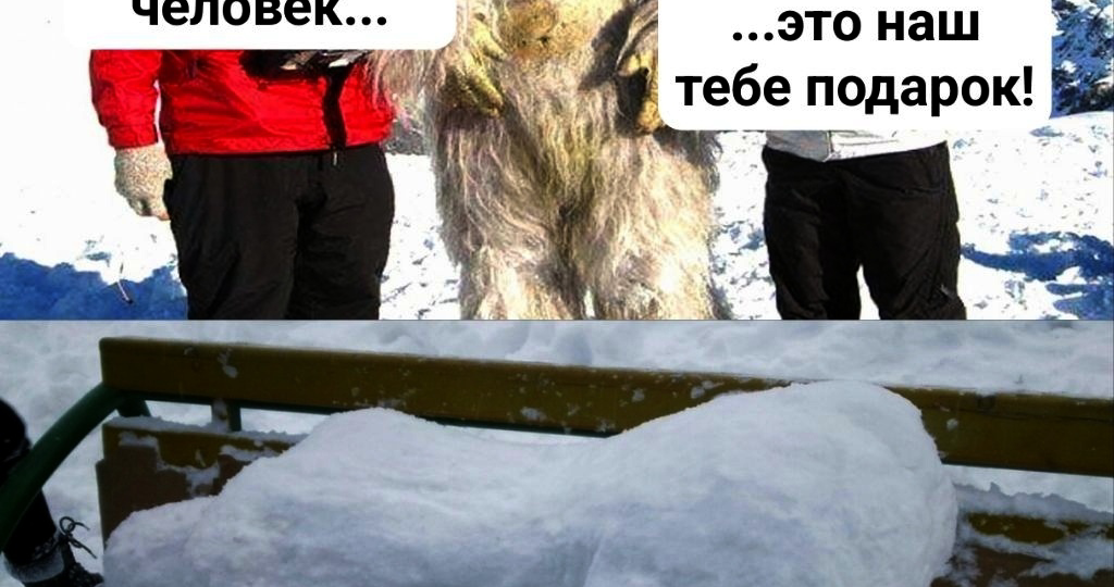 Как юмор развивает мозг? Смешная подборка Приколов! 🤣