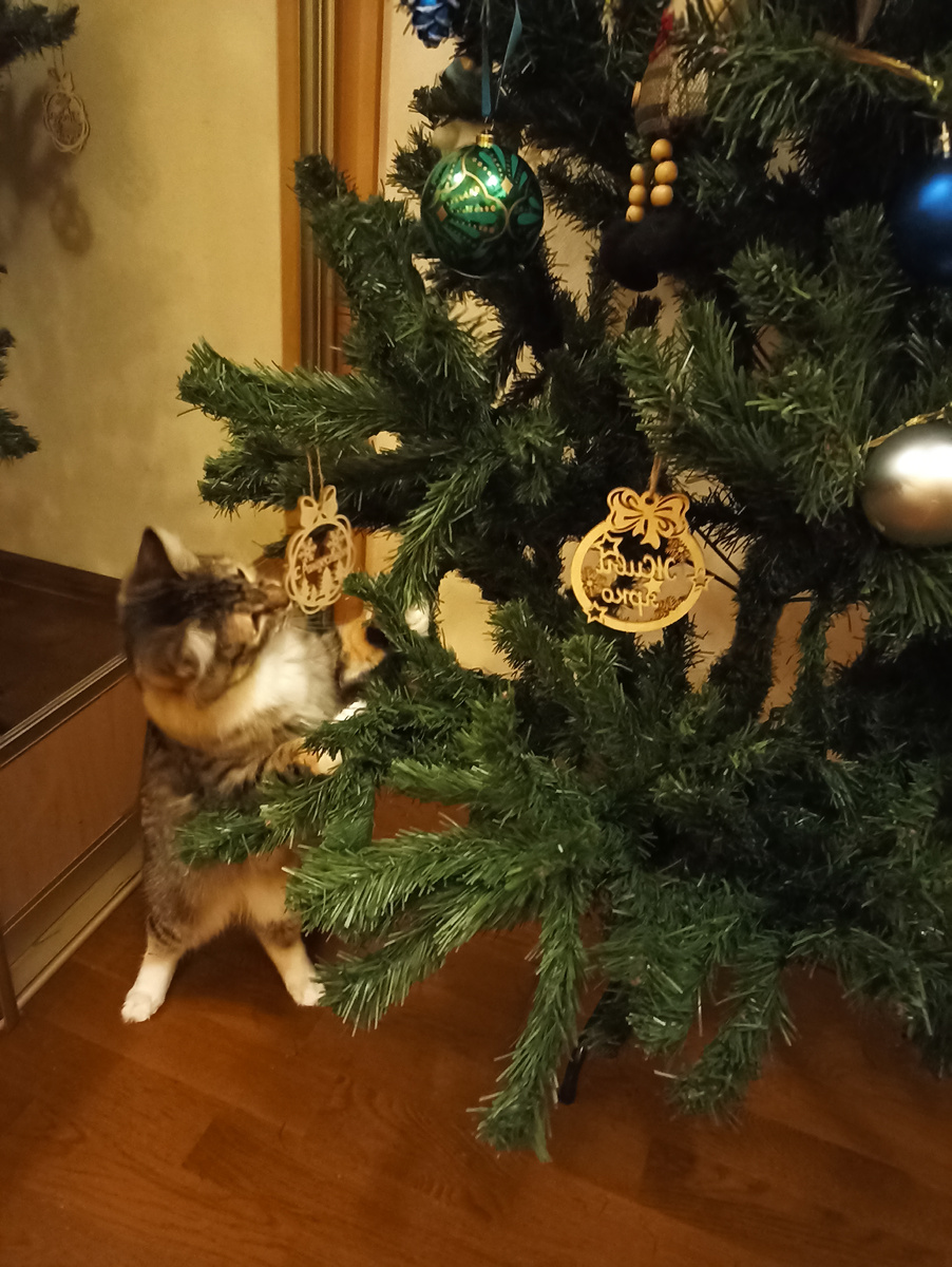 Тася тоже времени даром не теряла)) 