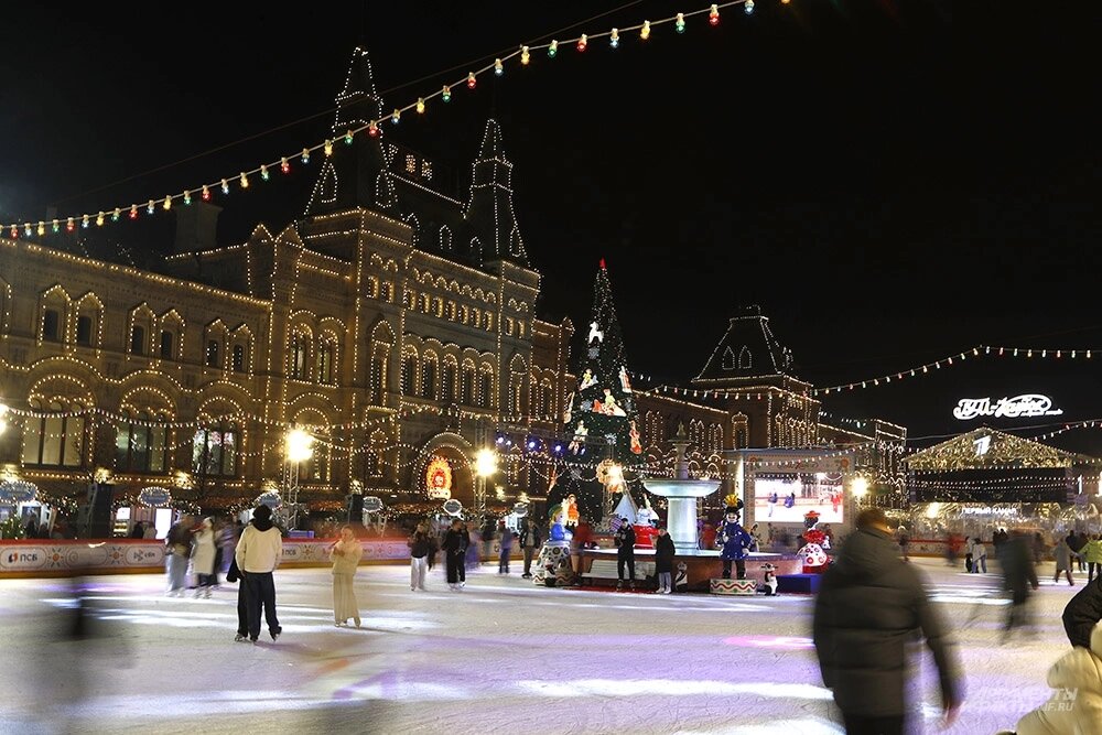    Фото: АиФ/ Игорь Харитонов