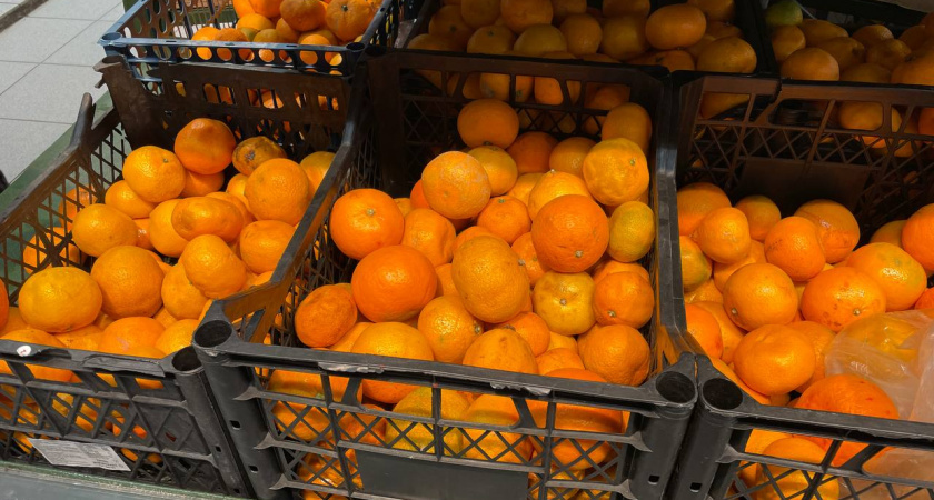    Автор фото - Анна Ефимова