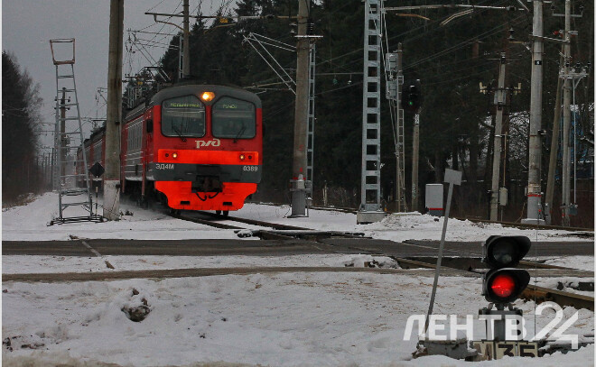    © Анастасия Илюшина / ЛенТВ24, архивное фото
