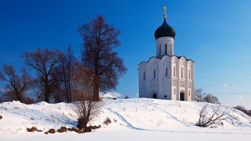      Фото: @bearfotos / ru.freepik.com