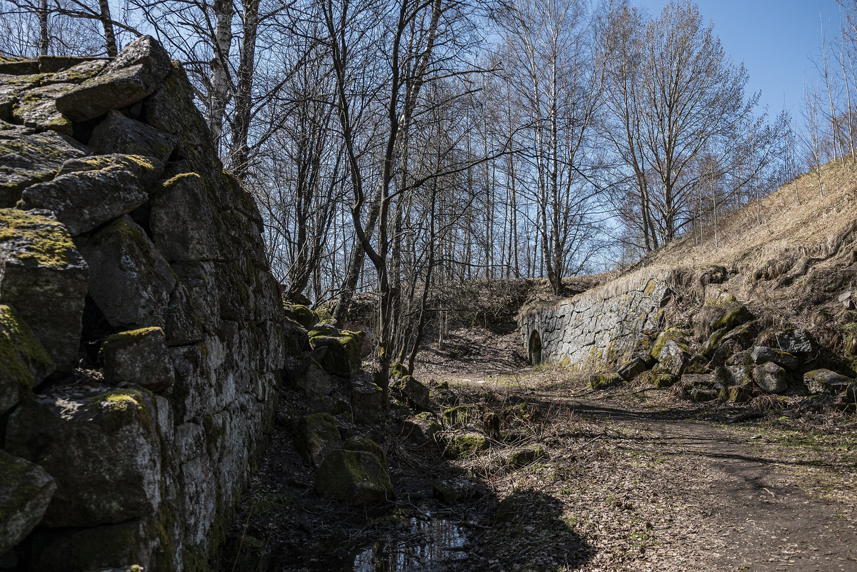 Источник: wikipedia.org Автор: Vladimir Pankratov CC BY-SA 4.0