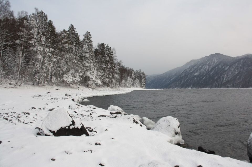    Телецкое озеро зимой. Источник: Алтайский биосферный заповедник/Лия Светлояр