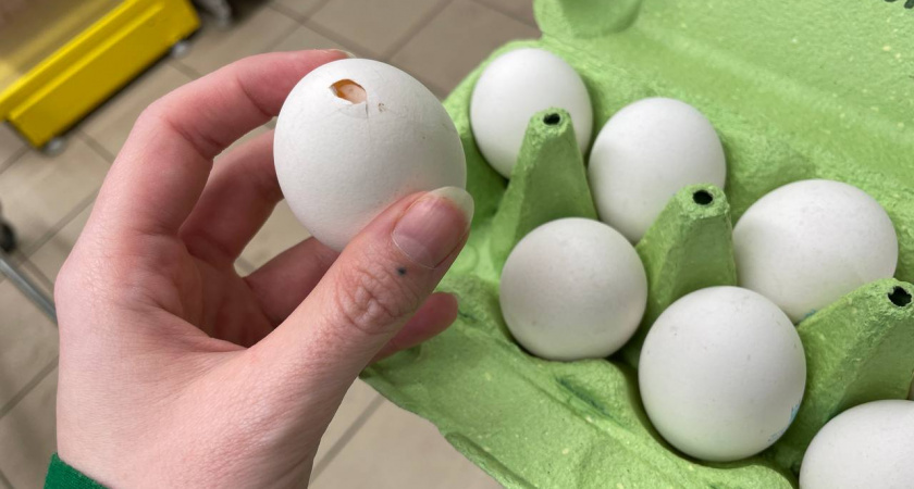    Автор фото - Анна Ефимова