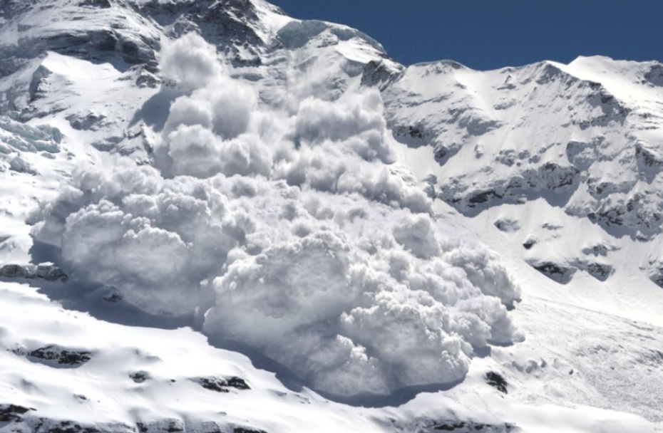    Shutterstock/FOTODOM