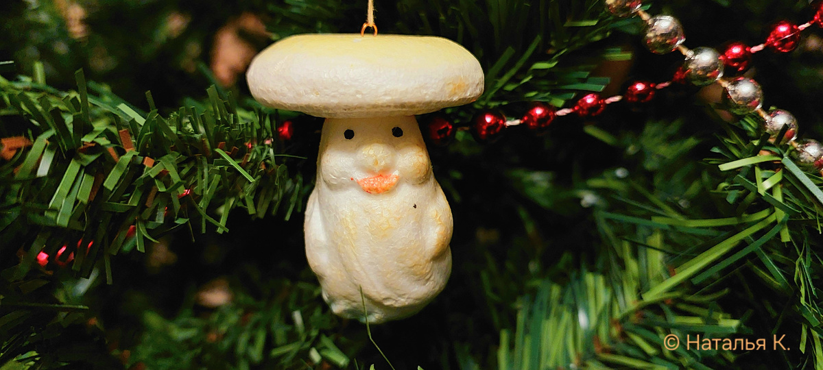 Фото автора канала