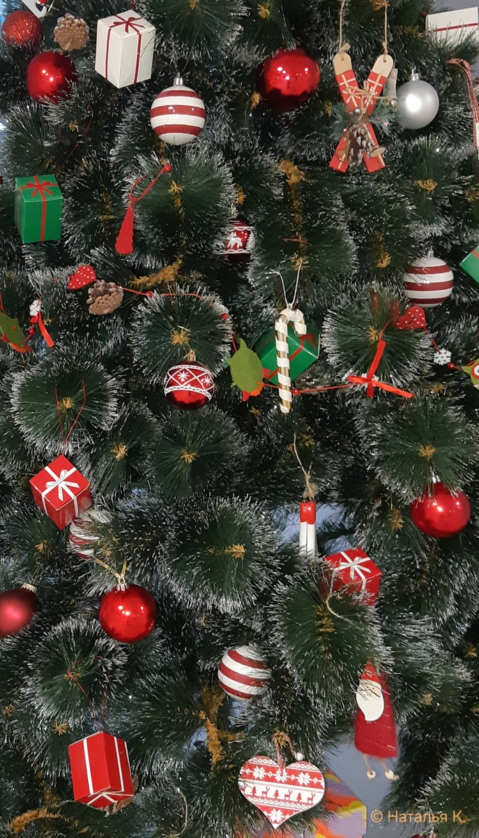 Фото автора канала