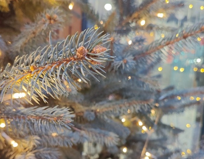 Пенсии, МРОТ, НДС, ЖКУ, утильсбор, армия: жизнь миллионов россиян изменится в 2026 году