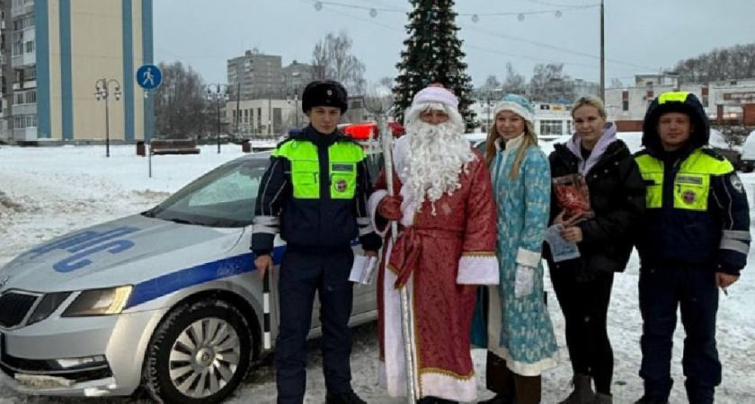    Фото: Пресс-служба УМВД Владимирской области