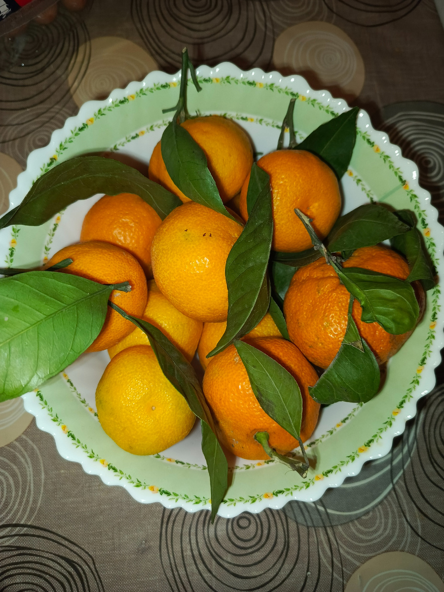  Личное фото автора