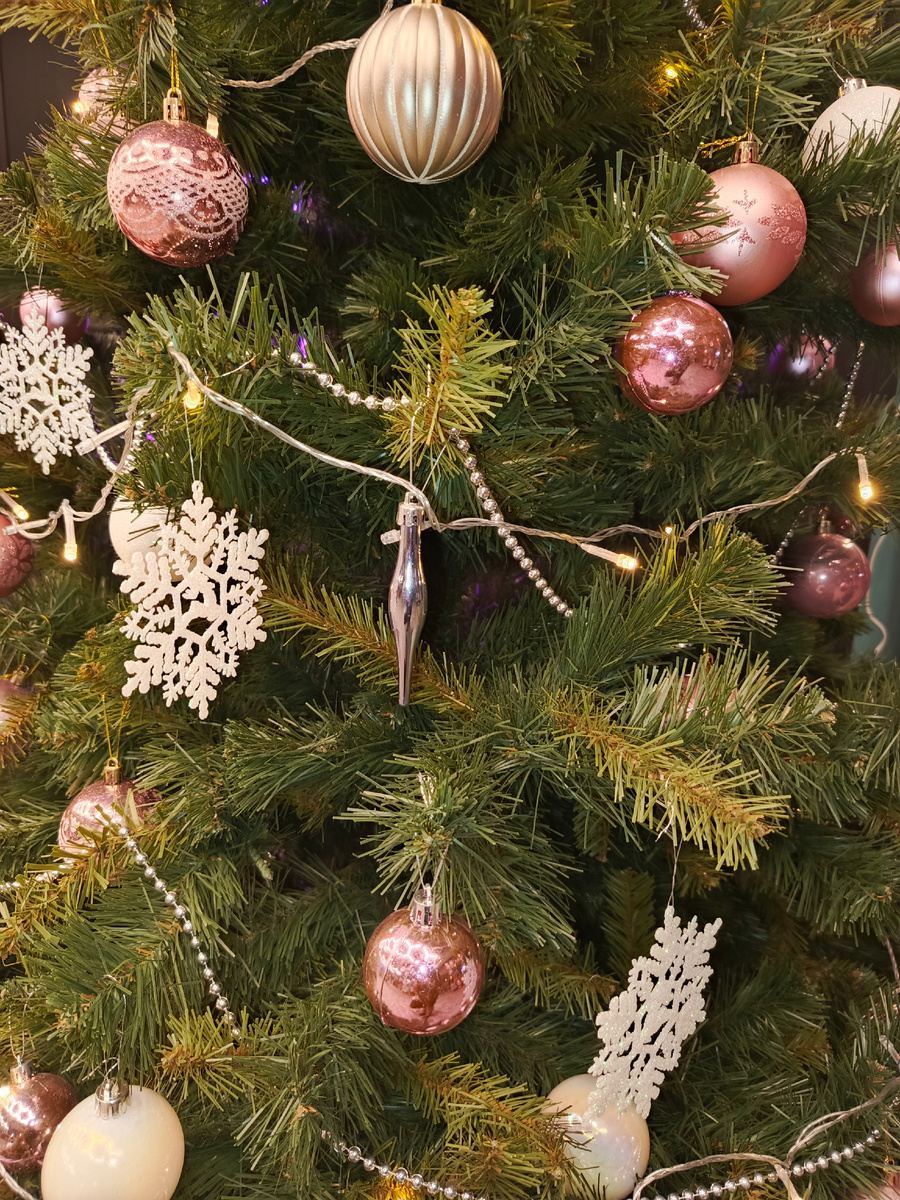 Личное фото автора