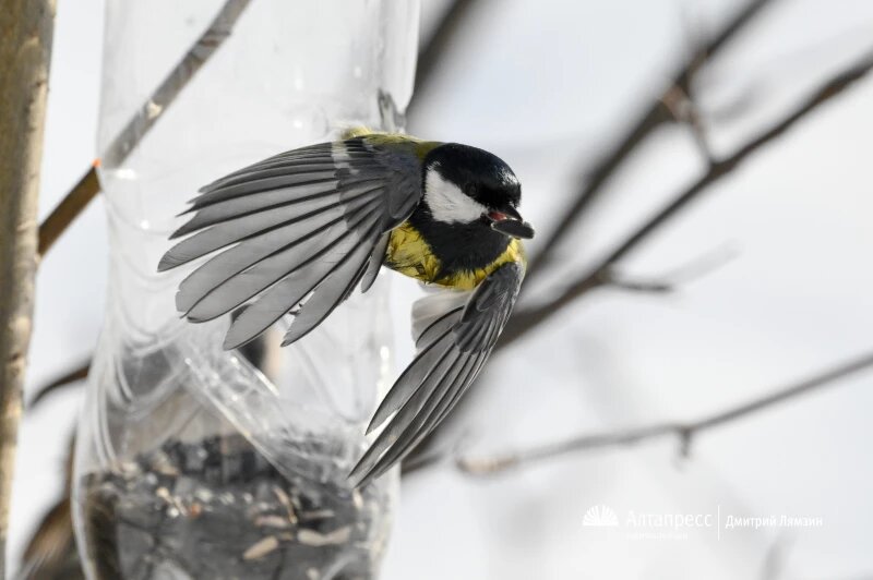 Листайте вправо, чтобы увидеть больше изображений