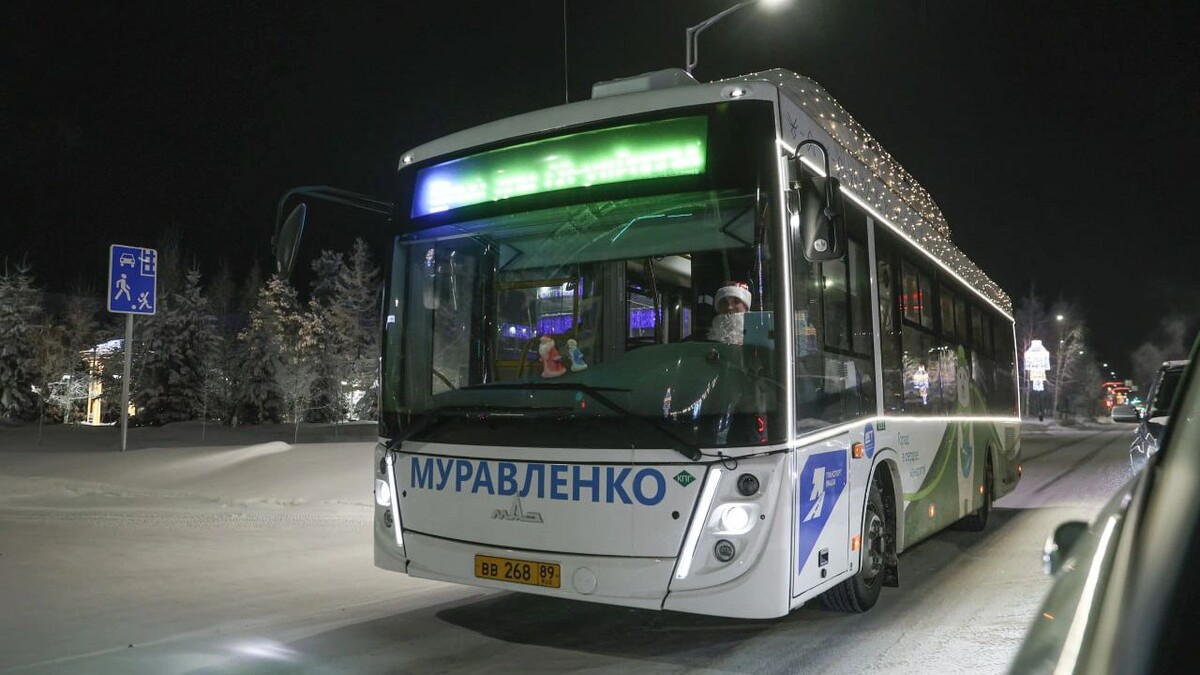    Фото: Алла Загородникова / t.me/muravlenko24