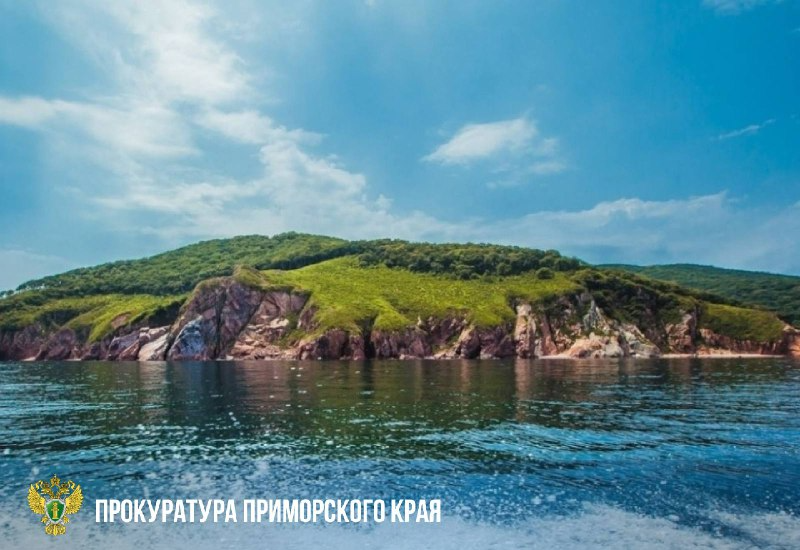    Источник фото: