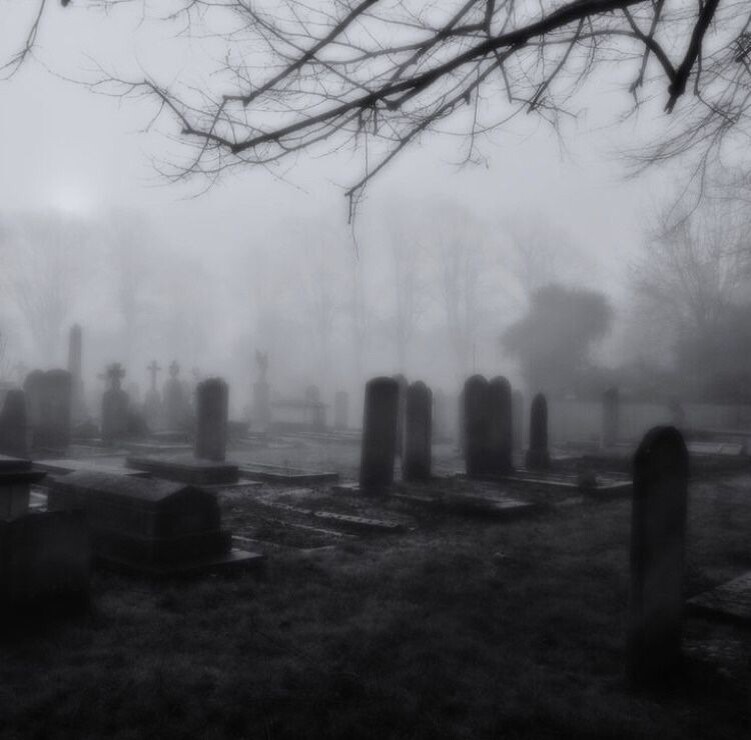 Изображение взято из открытых источников интернета. 