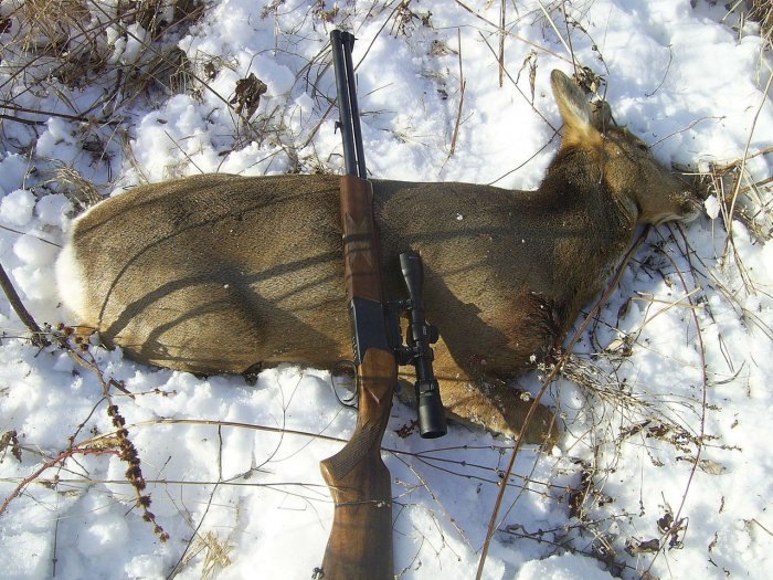 Фото: guns.allzip.org