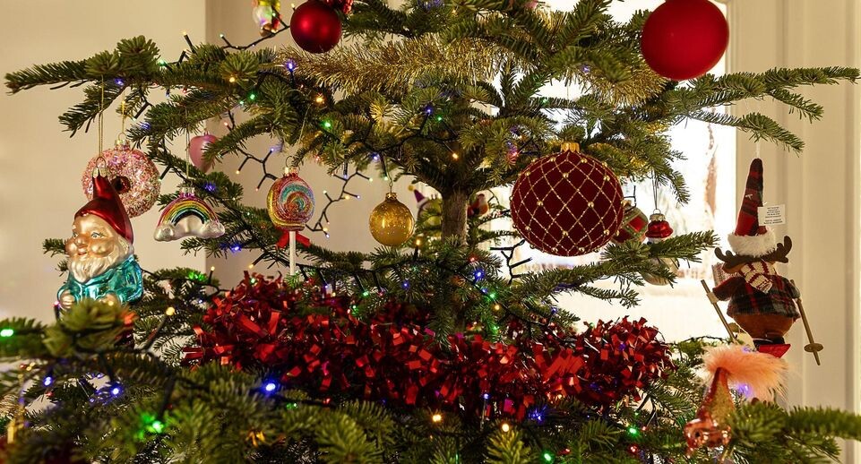    Jonas Roosens/Keystone Press Agency / www.globallookpress.com