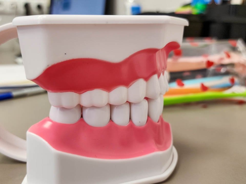    Фото: REGIONS/Наталия Надточая