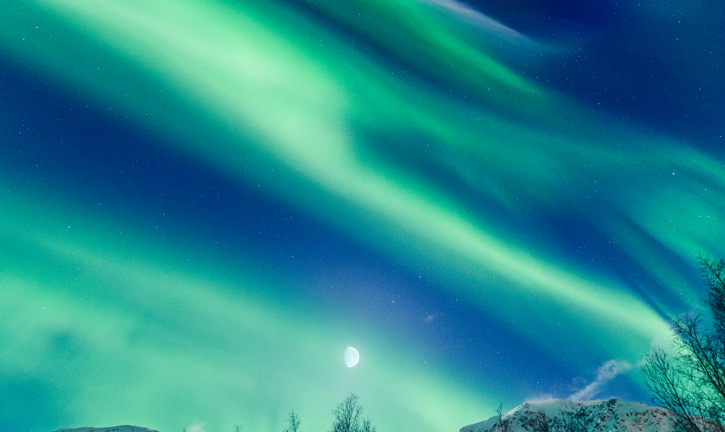 Фото: фрипик