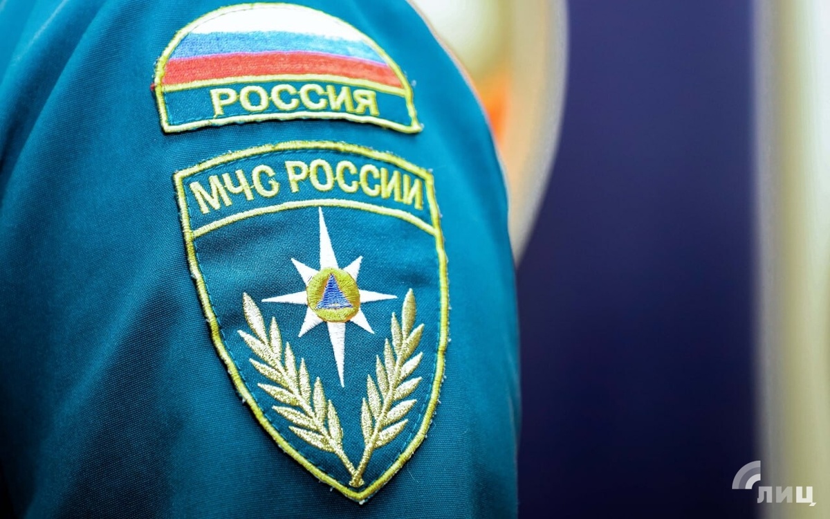    Фото: Луганский Информационный Центр/Анастасия Стеценко