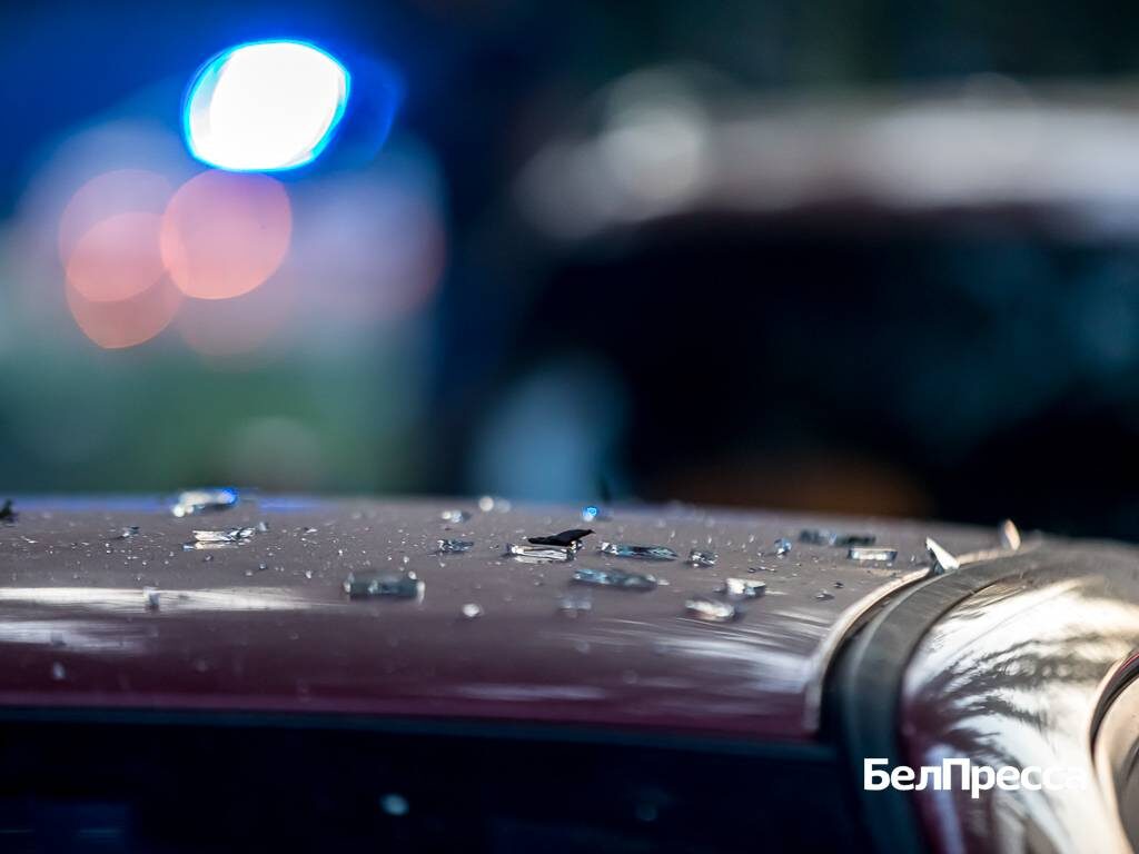     Фото: Павел Колядин (архив)