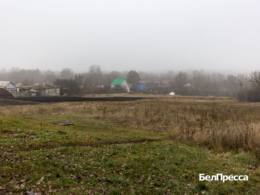     Фото: Алексей Дацковский