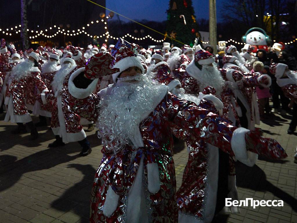     Фото: Елена Журавлёва