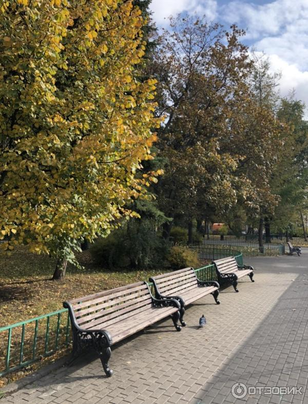 На таких лавках пиво пили будущие химики. 