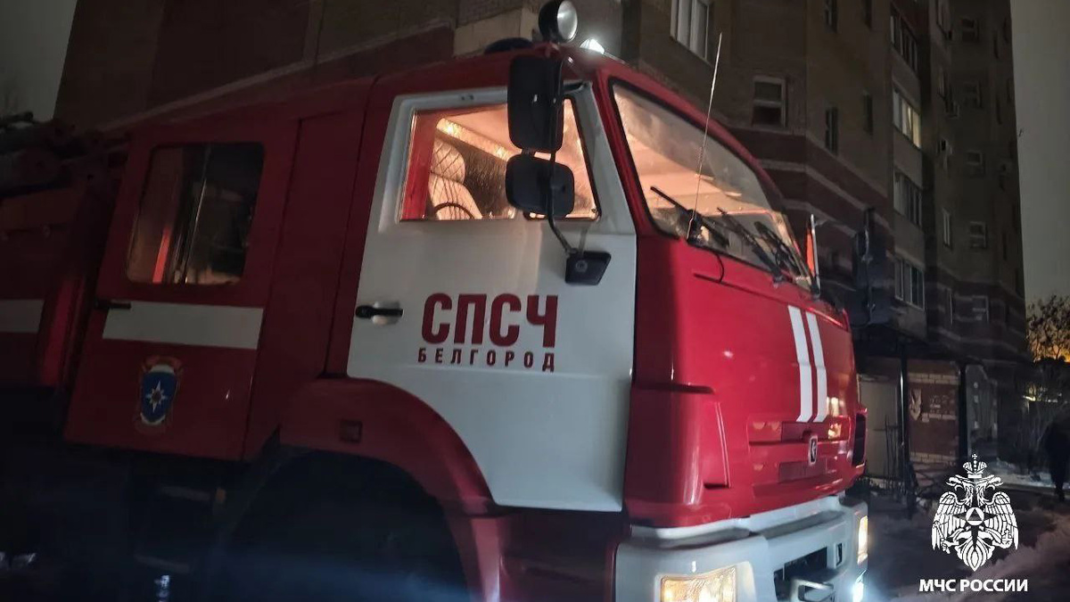     Фото: пресс-служба МЧС России по Белгородской области