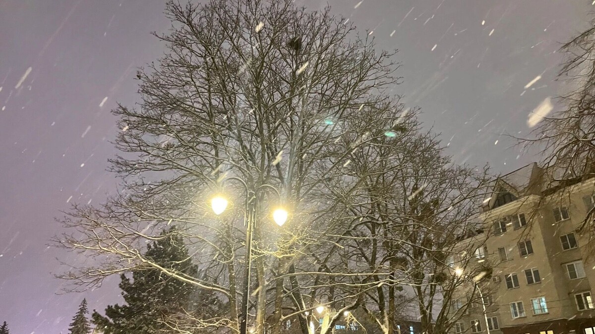    Мороз до -14 градусов ударит в Ростовской области в Новый год   rostovgazeta.ru