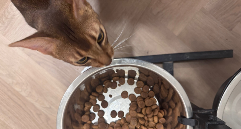    Фото из архива "ПроГорода"