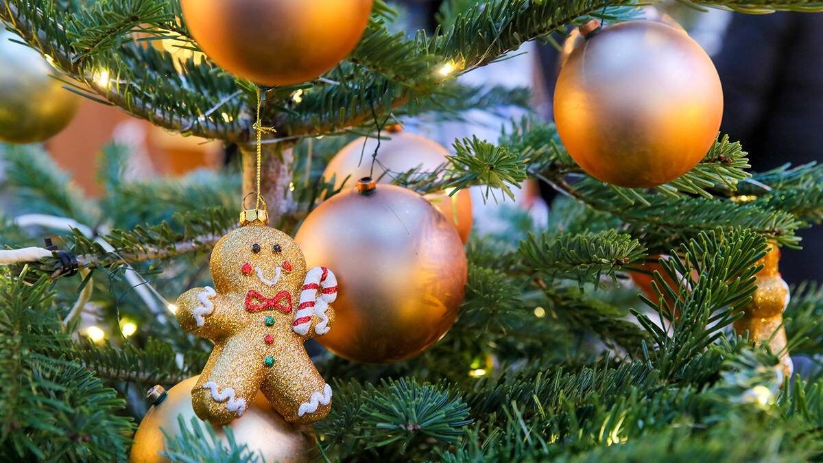    Фото: Василий Кузьмиченок / АГН Москва