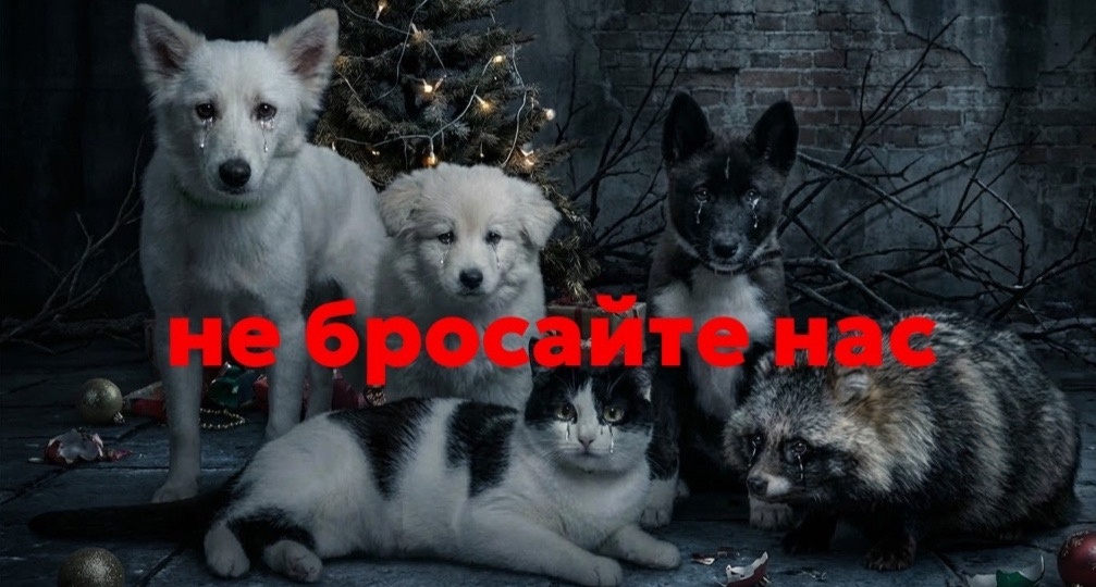 24 часа, чтобы спасти частный хоспис! Куча долгов!