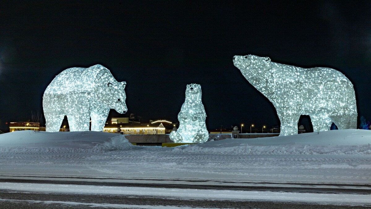    Фото: Федор Воронов/«Ямал-Медиа»