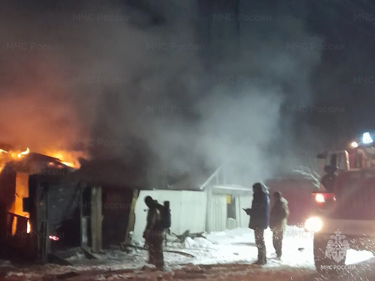     Фото: ГУ МЧС по Курской области