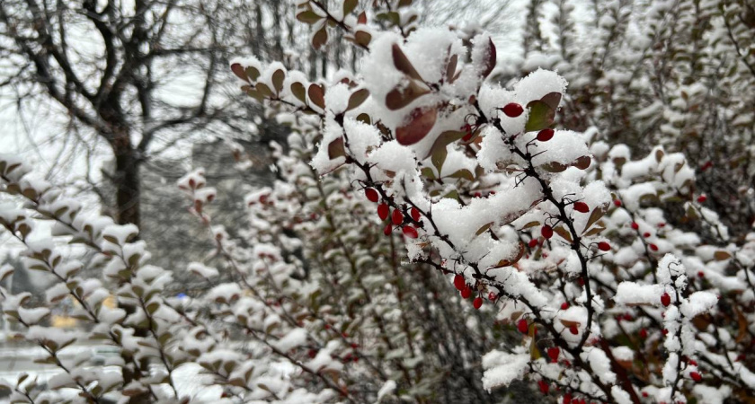    Первый городской канал Калининград