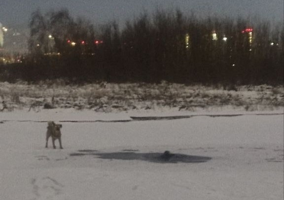Красноярец провалился под лед и утонул во время прогулки с собакой