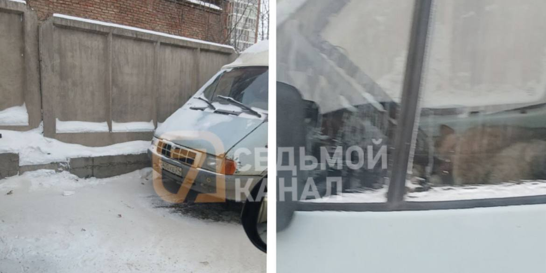 Красноярец запер свою собаку в «ГАЗели» на четыре дня