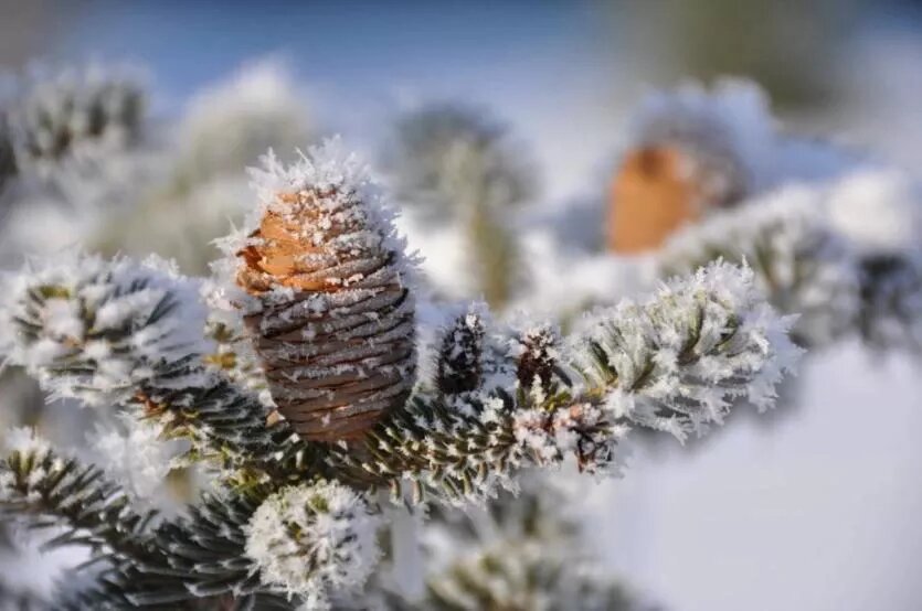 Фото: Белгородский музей народной культуры